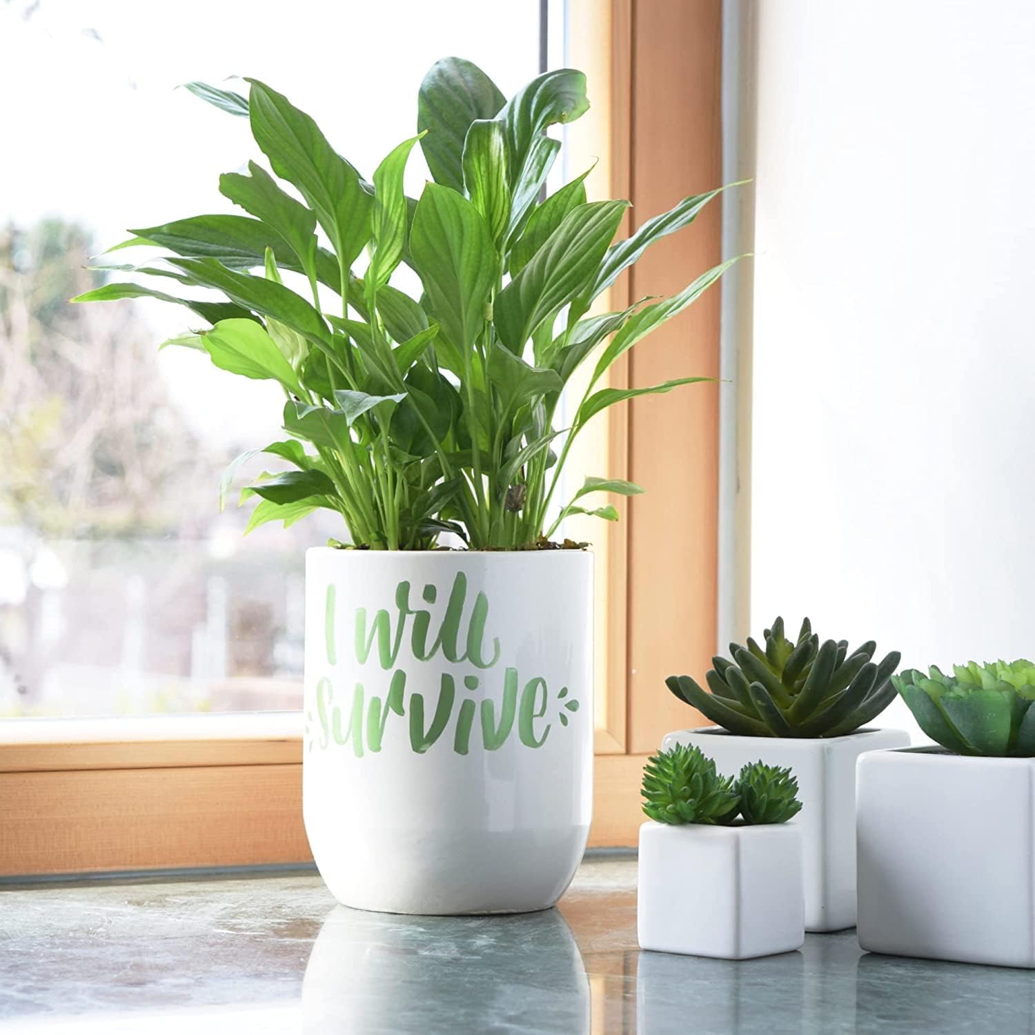 8 Marqueurs Uni-Ball Posca - Couleurs Assorties – Image 6