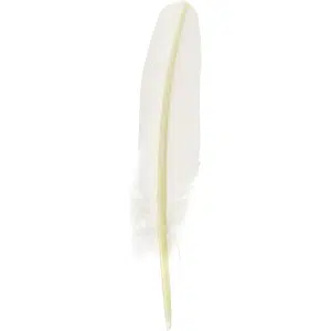 Plume d'oie Herbin 21 cm - Blanc